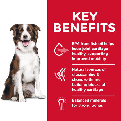 Hills Science Diet Adult Healthy Mobility Large Breed Dry Dog Food