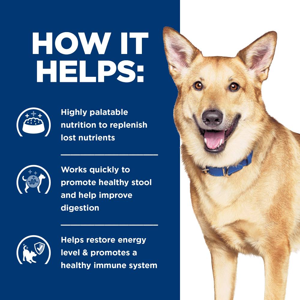Hills Prescription Diet i/d Digestive Care Dry Dog Food