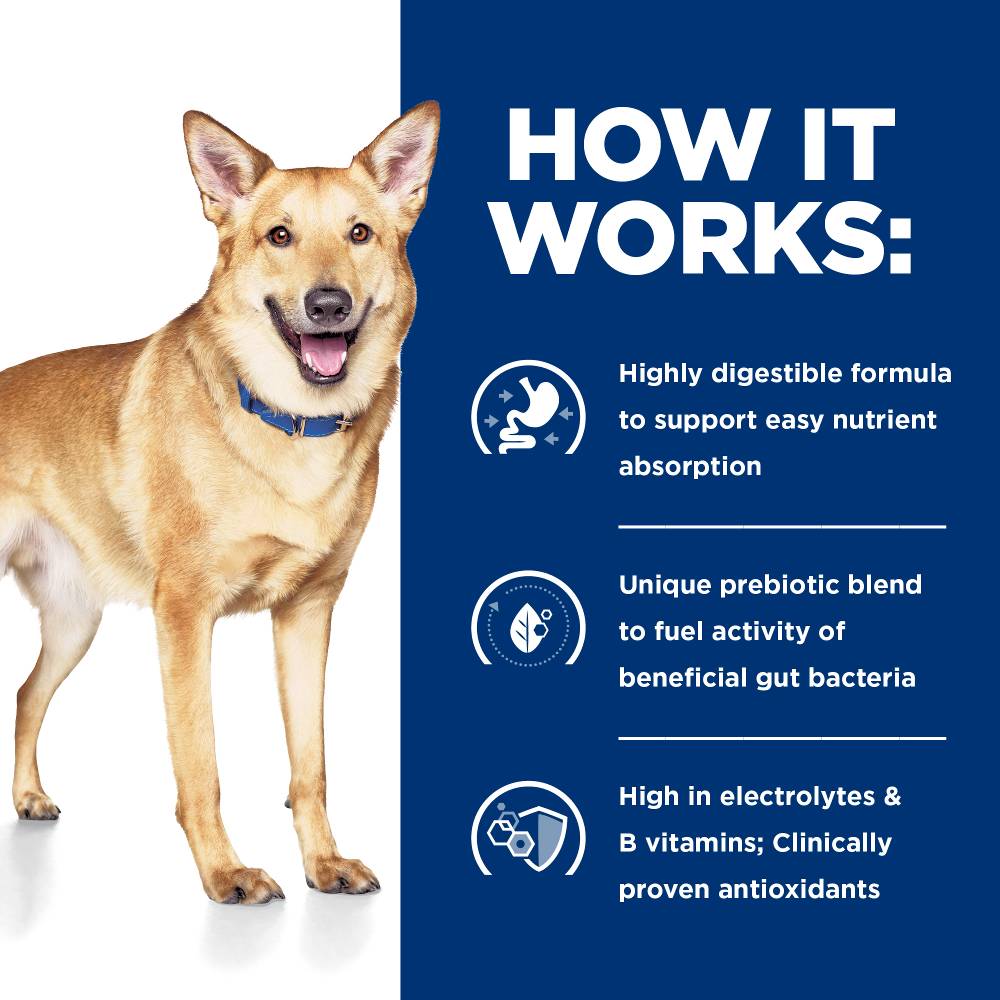 Hills Prescription Diet i/d Digestive Care Turkey Canned Dog Food