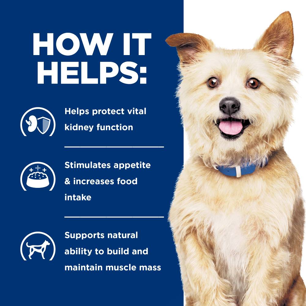 Hills Prescription Diet k/d Kidney Care Dry Dog Food