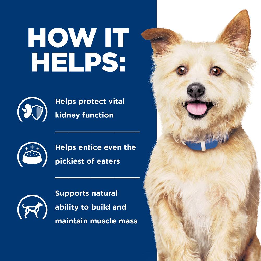 Hills Prescription Diet k/d Kidney Care with Chicken Canned Dog Food