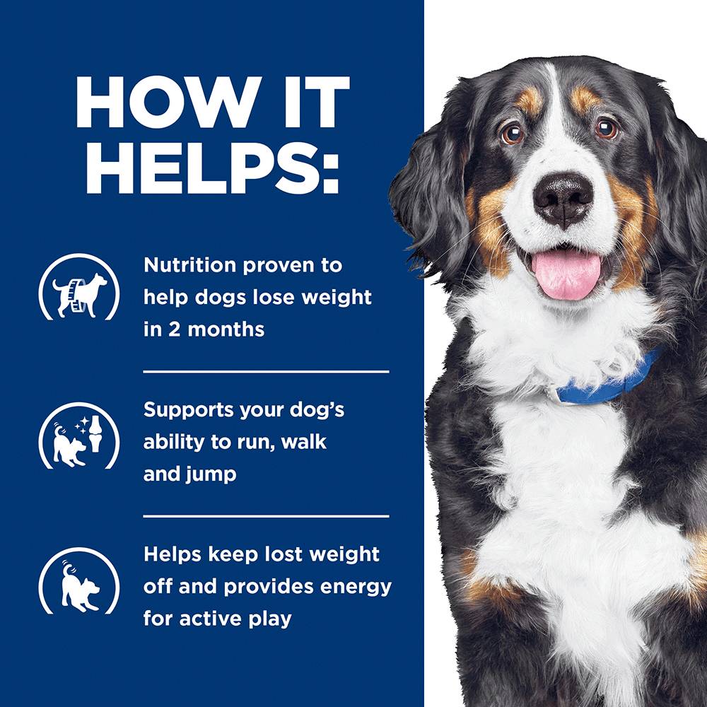 Hills Prescription Diet Metabolic Plus Mobility Dry Dog Food