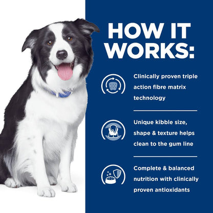 Hills Prescription Diet t/d Dental Care Dry Dog Food