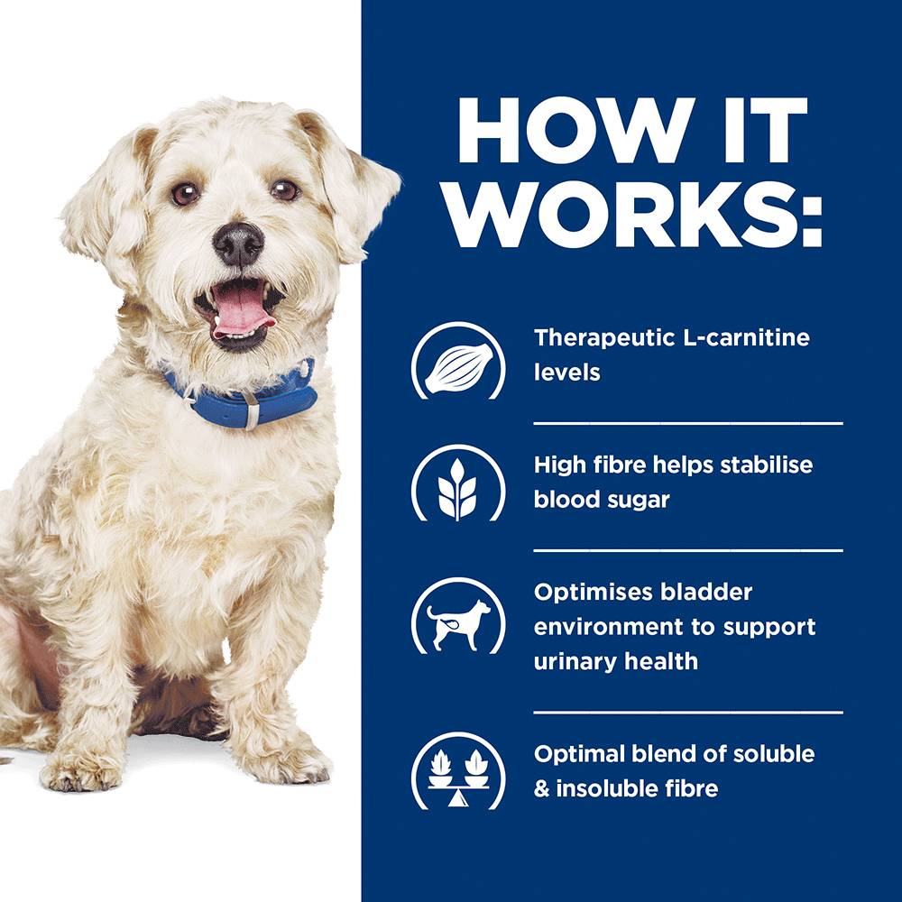 Hills Prescription Diet w/d Multi-Benefit Dry Dog Food