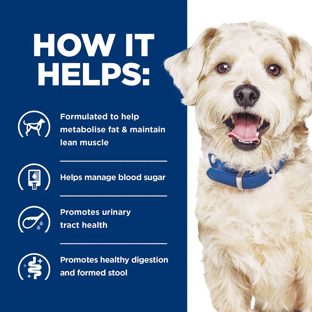 Hills Prescription Diet w/d Multi-Benefit Dry Dog Food