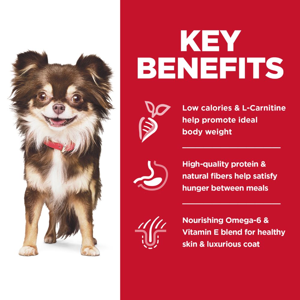 Hills Science Diet Adult Small And Mini Sensitive Stomach and Skin Dry Dog Food