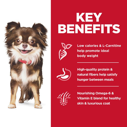 Hills Science Diet Adult Small And Mini Sensitive Stomach and Skin Dry Dog Food