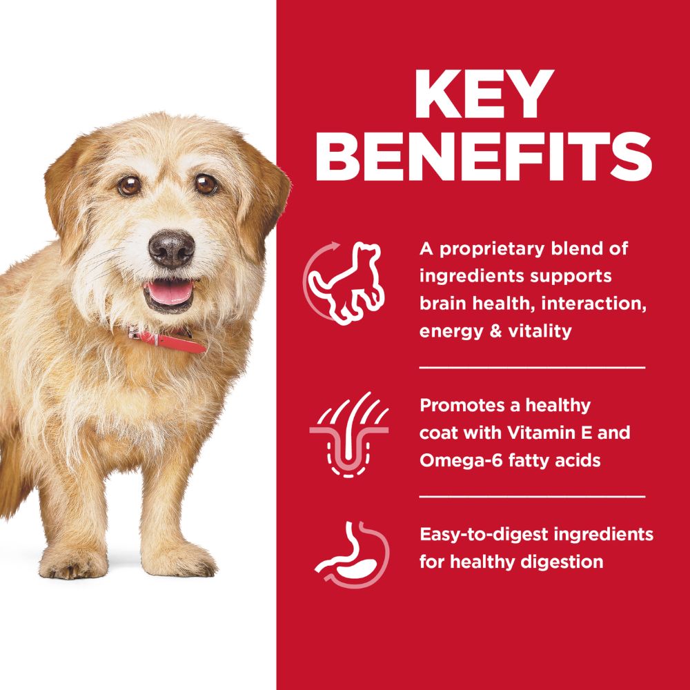 Hills Science Diet Adult 7+ Senior Vitality Small and Mini Dry Dog Food