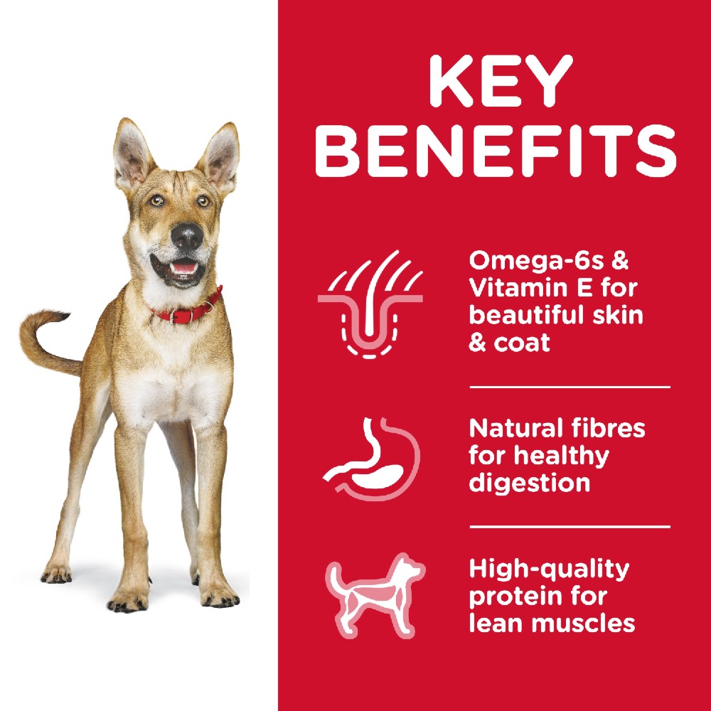 Hills Science Diet Adult Chicken and Barley Dry Dog Food