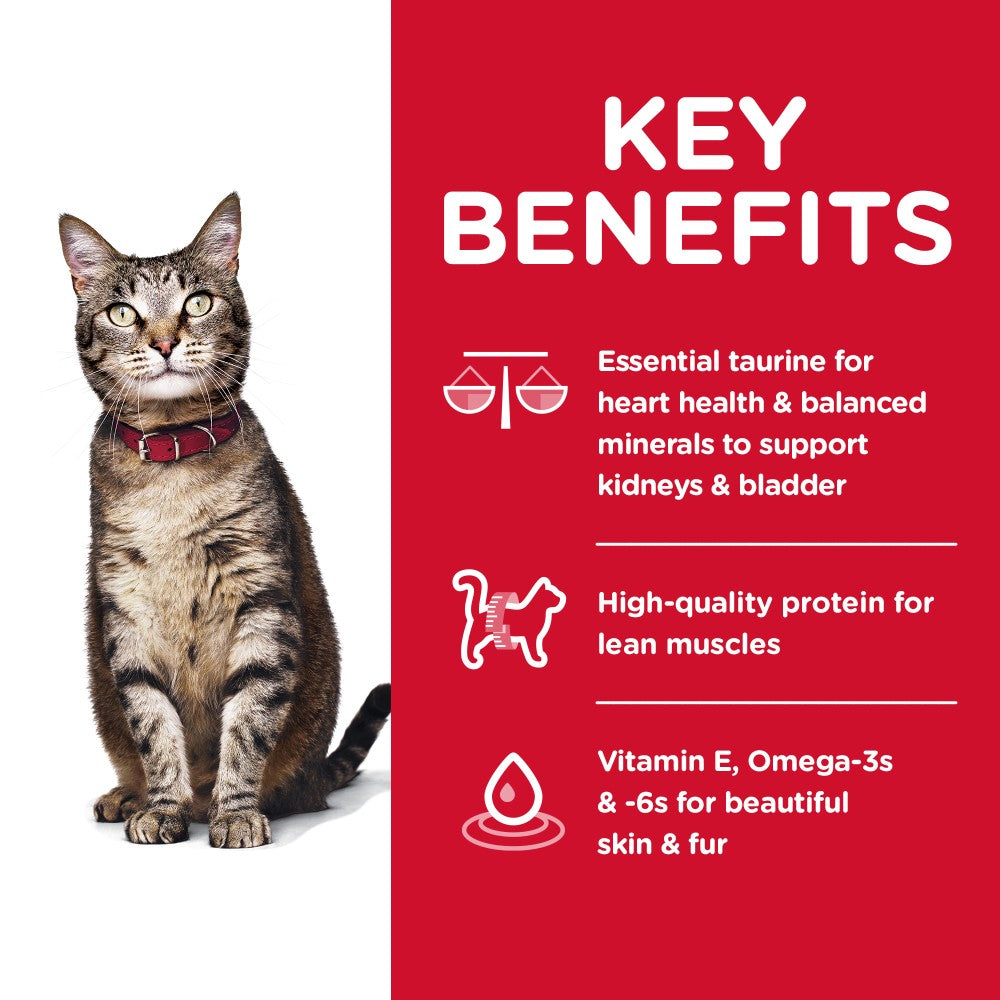 Hills Science Diet Adult Dry Cat Food