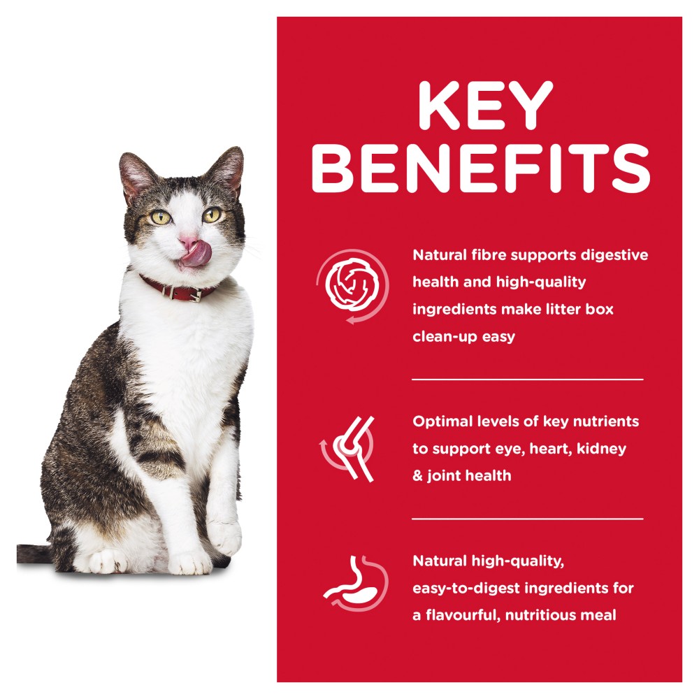 Hills Science Diet Adult 11+ Indoor Dry Cat Food