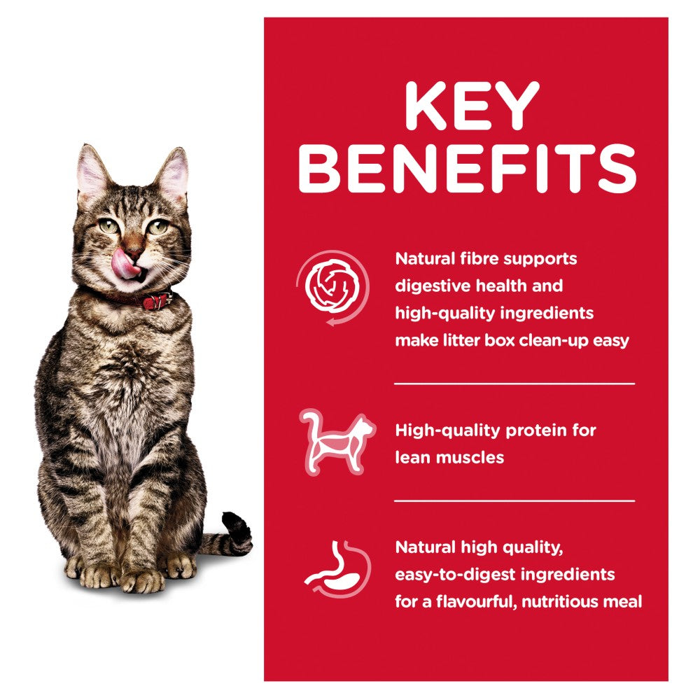Hills Science Diet Adult 7+ Indoor Dry Cat Food