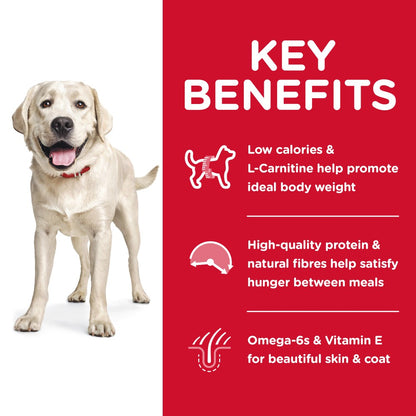 Hills Science Diet Adult Large Breed Light Dry Dog Food