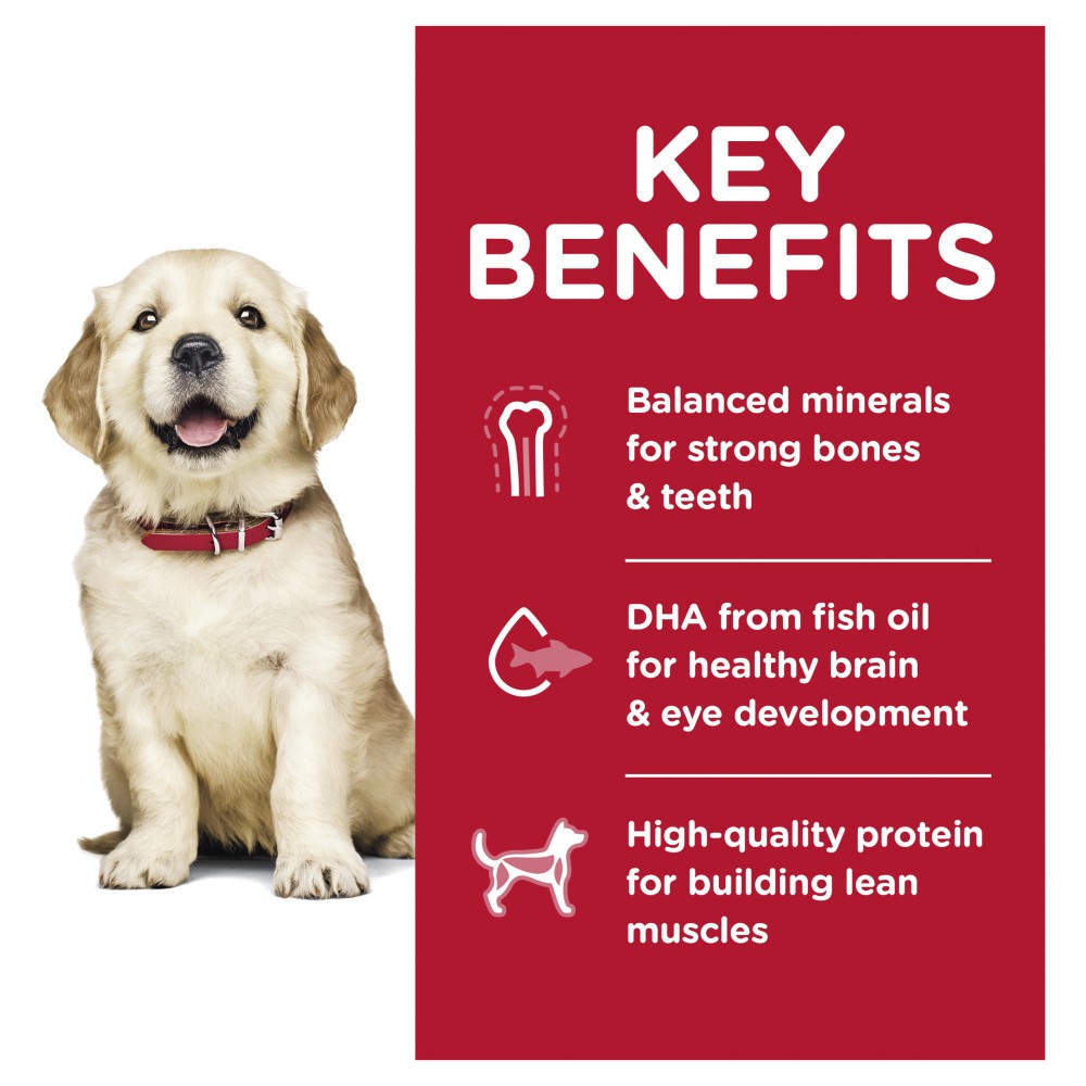 Hills Science Diet Puppy Large Breed Dry Dog Food