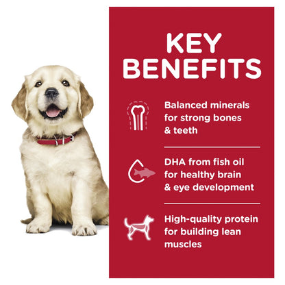 Hills Science Diet Puppy Large Breed Dry Dog Food