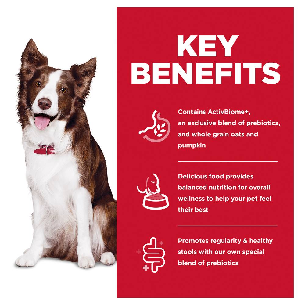 Hills Science Diet Adult Perfect Digestion Dry Dog Food