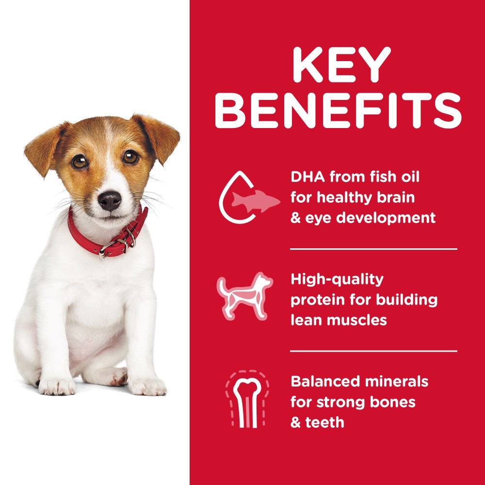 Hills Science Diet Puppy Small Bites Dry Dog Food