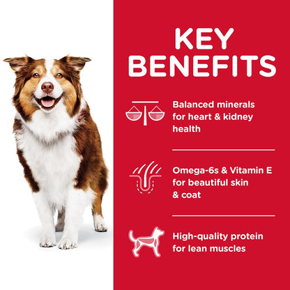 Hills Science Diet Senior Adult 7+ Dry Dog Food