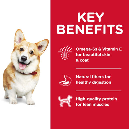 Hills Science Diet Adult Small Bites Chicken and Barley Dry Dog Food