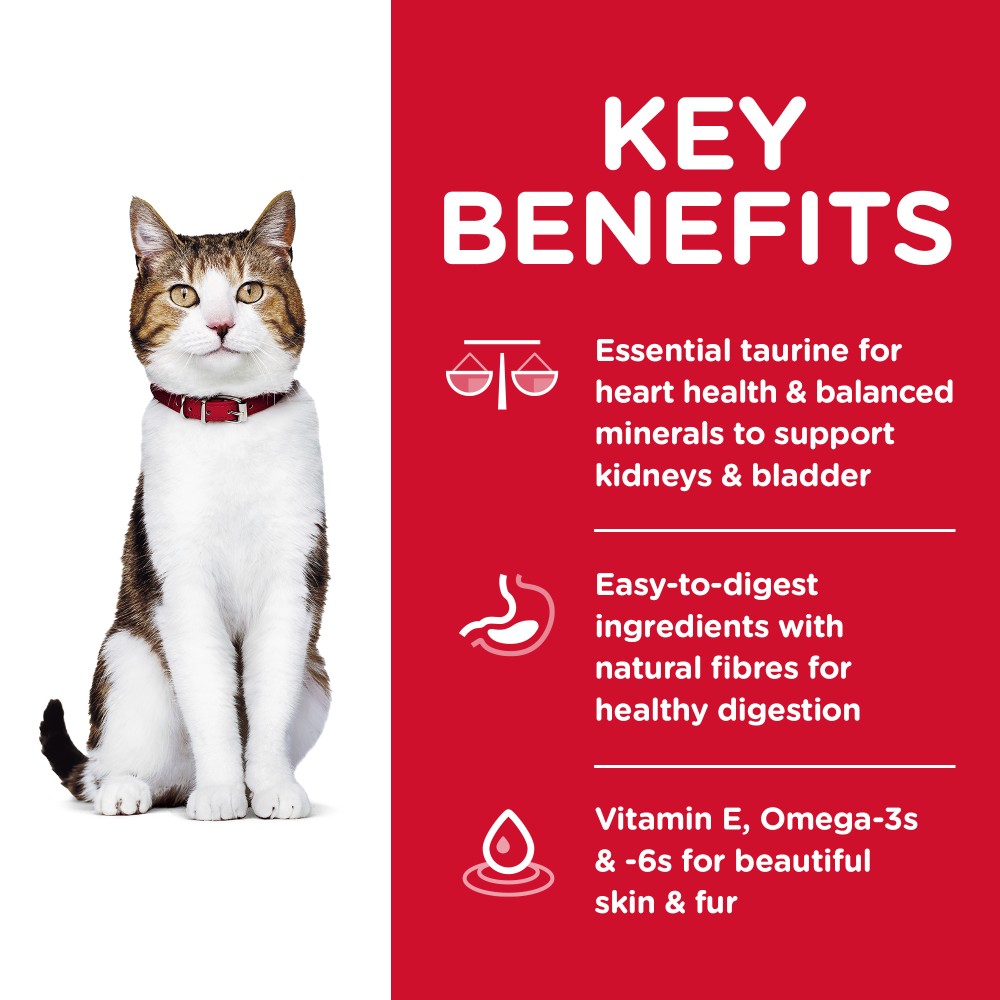 Hills Science Diet Adult 7+ Senior Dry Cat Food