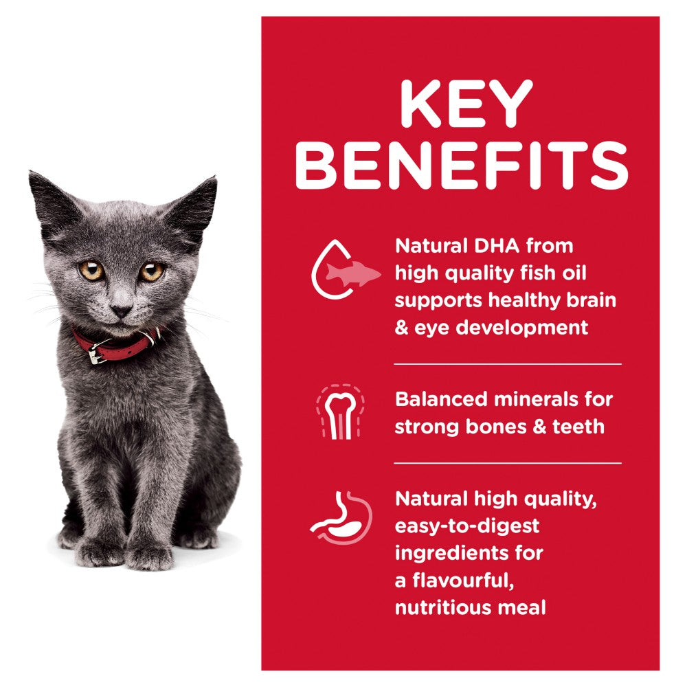 Hills Science Diet Kitten Indoor Dry Cat Food