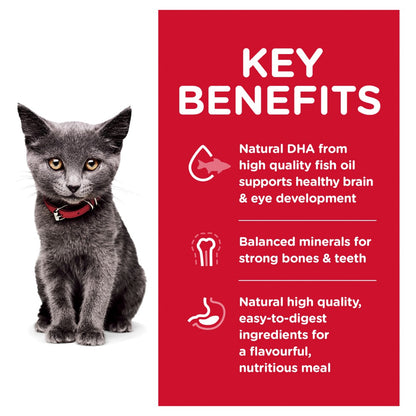 Hills Science Diet Kitten Indoor Dry Cat Food