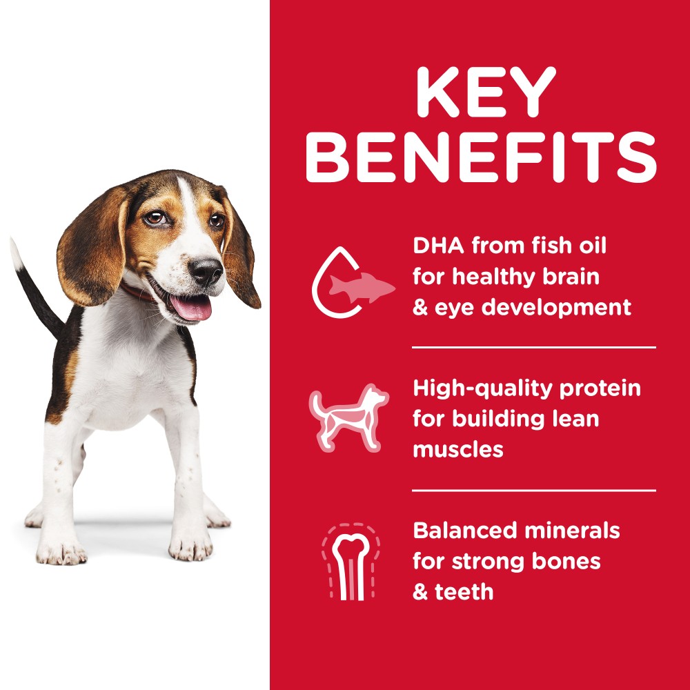 Hills Science Diet Puppy Dry Dog Food