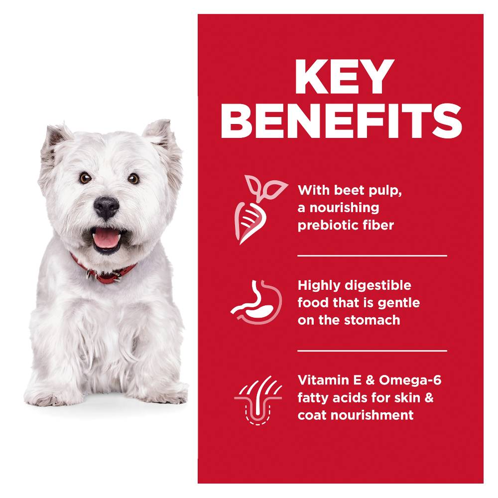 Hills Science Diet Adult Sensitive Stomach and Skin Small Bites Dry Dog Food
