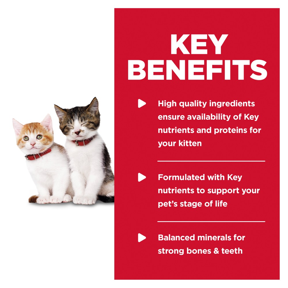 Hills Science Diet Kitten Tender Chicken Dinner Canned Food