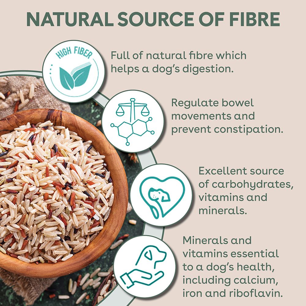 PureLife Freeze-Dried Raw-Coated Tuna and Salmon Adult Dog Food