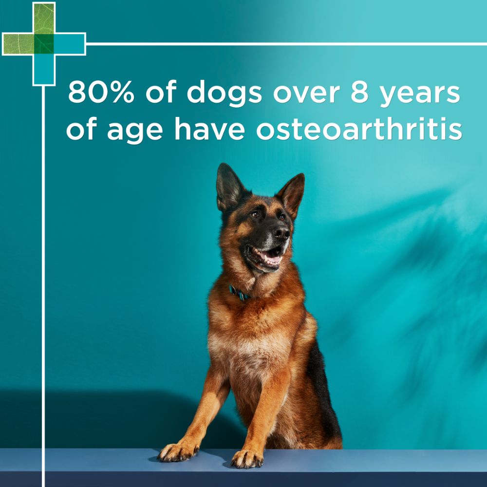 Paw Osteosupport Joint Care for Dogs