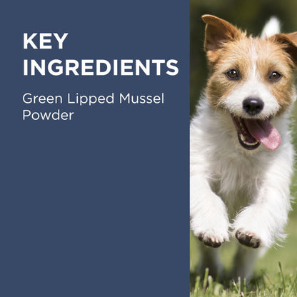 Paw Osteosupport Joint Care for Dogs