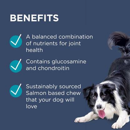 Paw Osteocare Joint Protect Chews