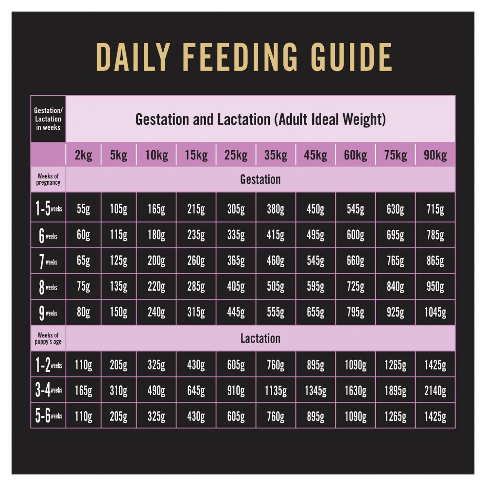Pro Plan Mothers and Puppies Performance Starter