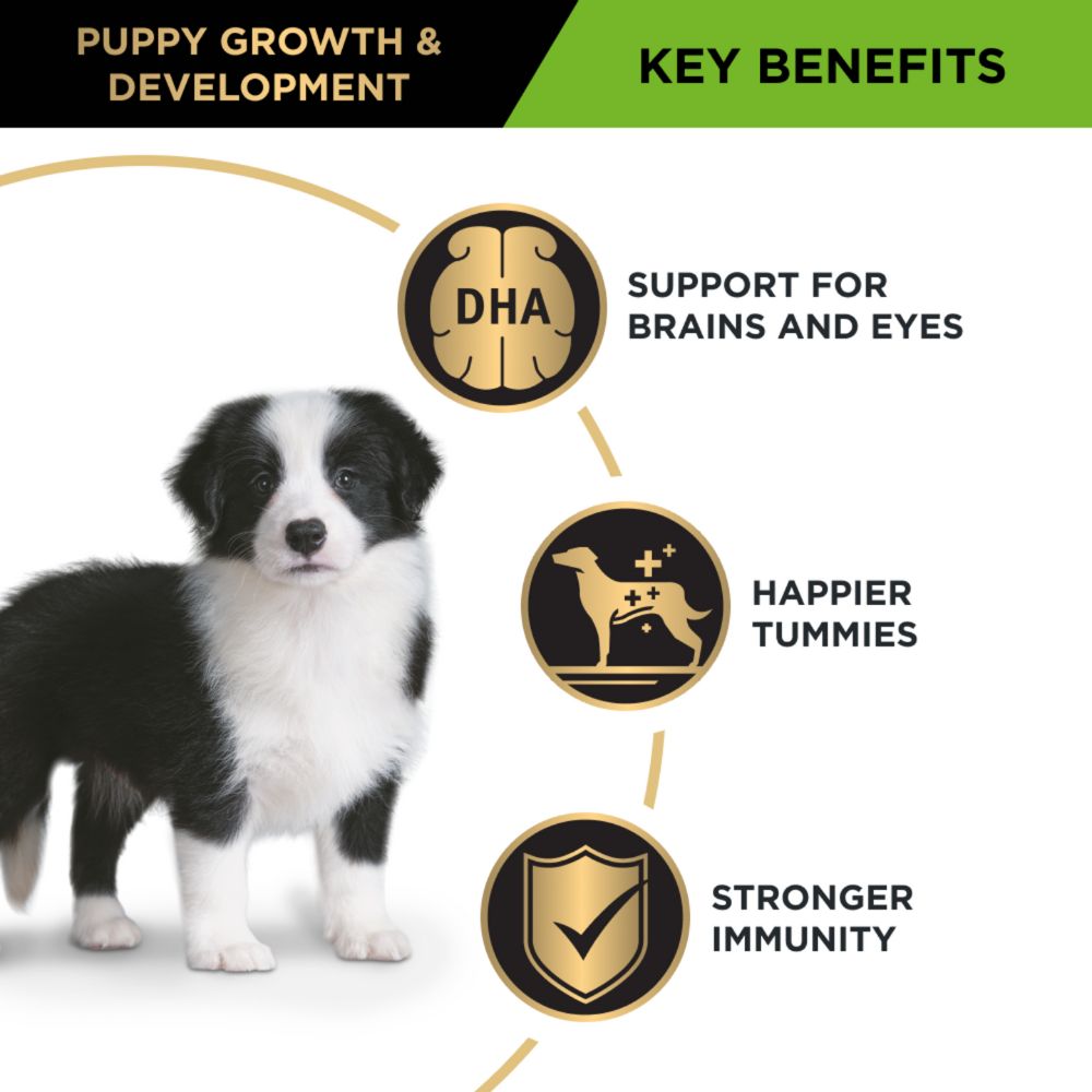 Pro Plan Puppy Medium Breed