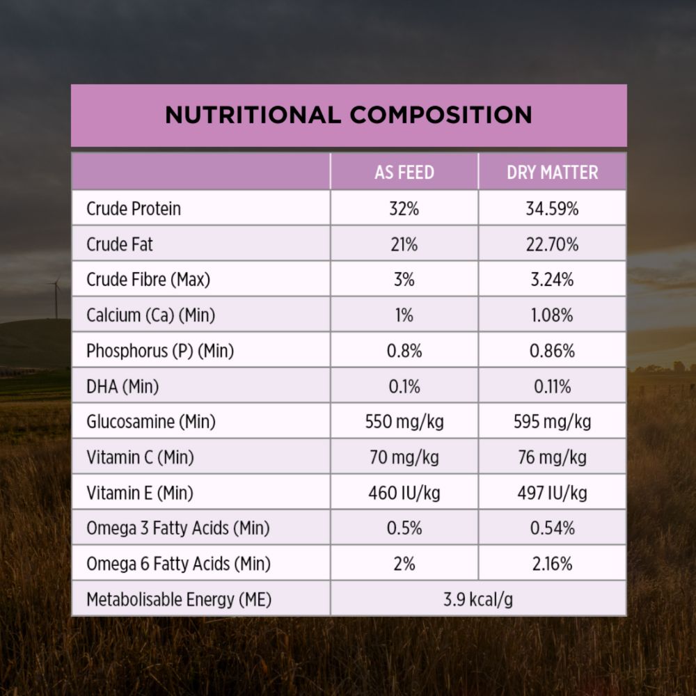 Pro Plan Adult Performance All Size and Life Stages