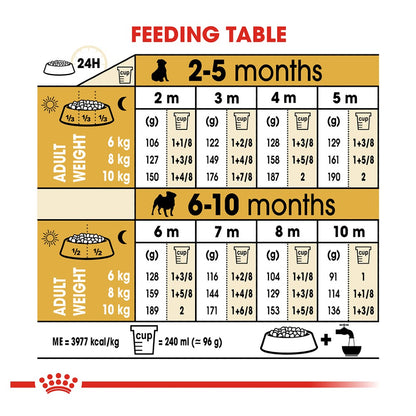 Royal Canin Pug Puppy