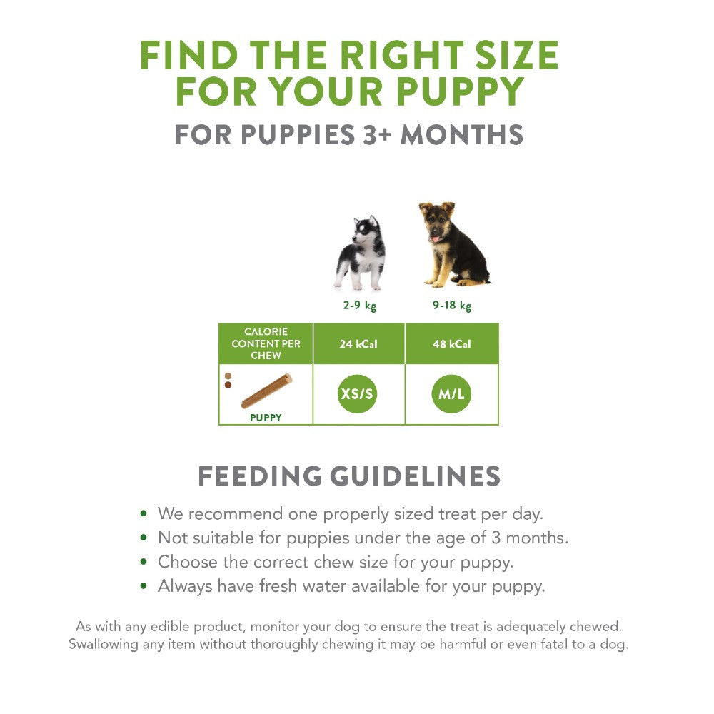 Whimzees Puppy Medium/Large Breed Dental Treats