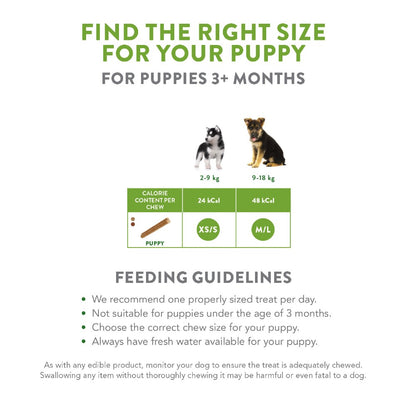 Whimzees Puppy Medium/Large Breed Dental Treats
