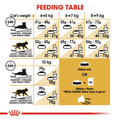 Royal Canin Maine Coon Adult