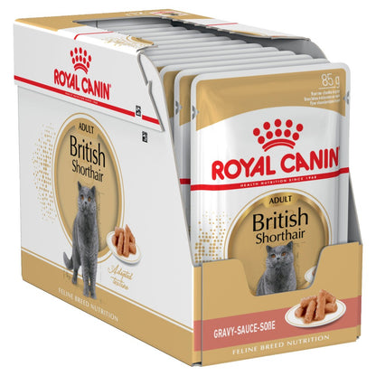 Royal Canin Adult British Shorthair in Gravy