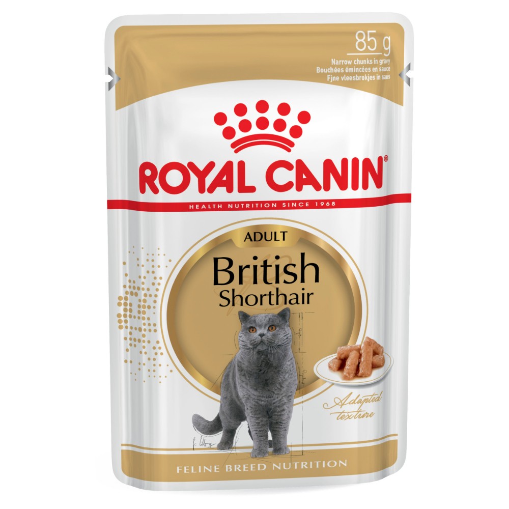 Royal Canin Adult British Shorthair in Gravy