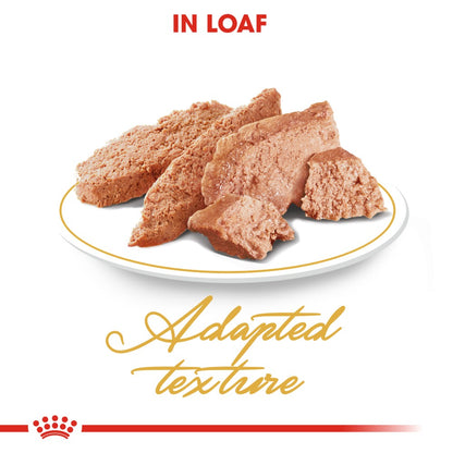 Royal Canin Persian Adult Loaf Pouches