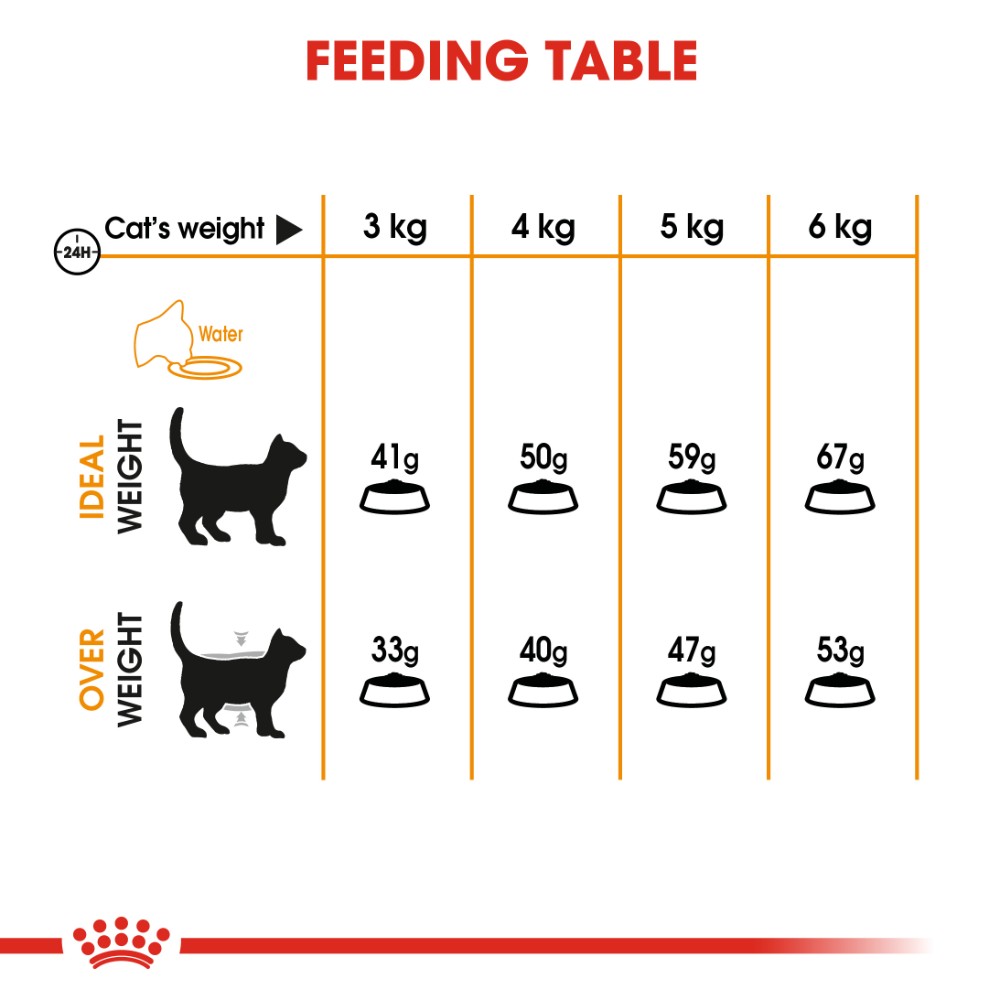 Royal Canin Adult Hair and Skin Care