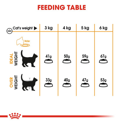 Royal Canin Adult Hair and Skin Care