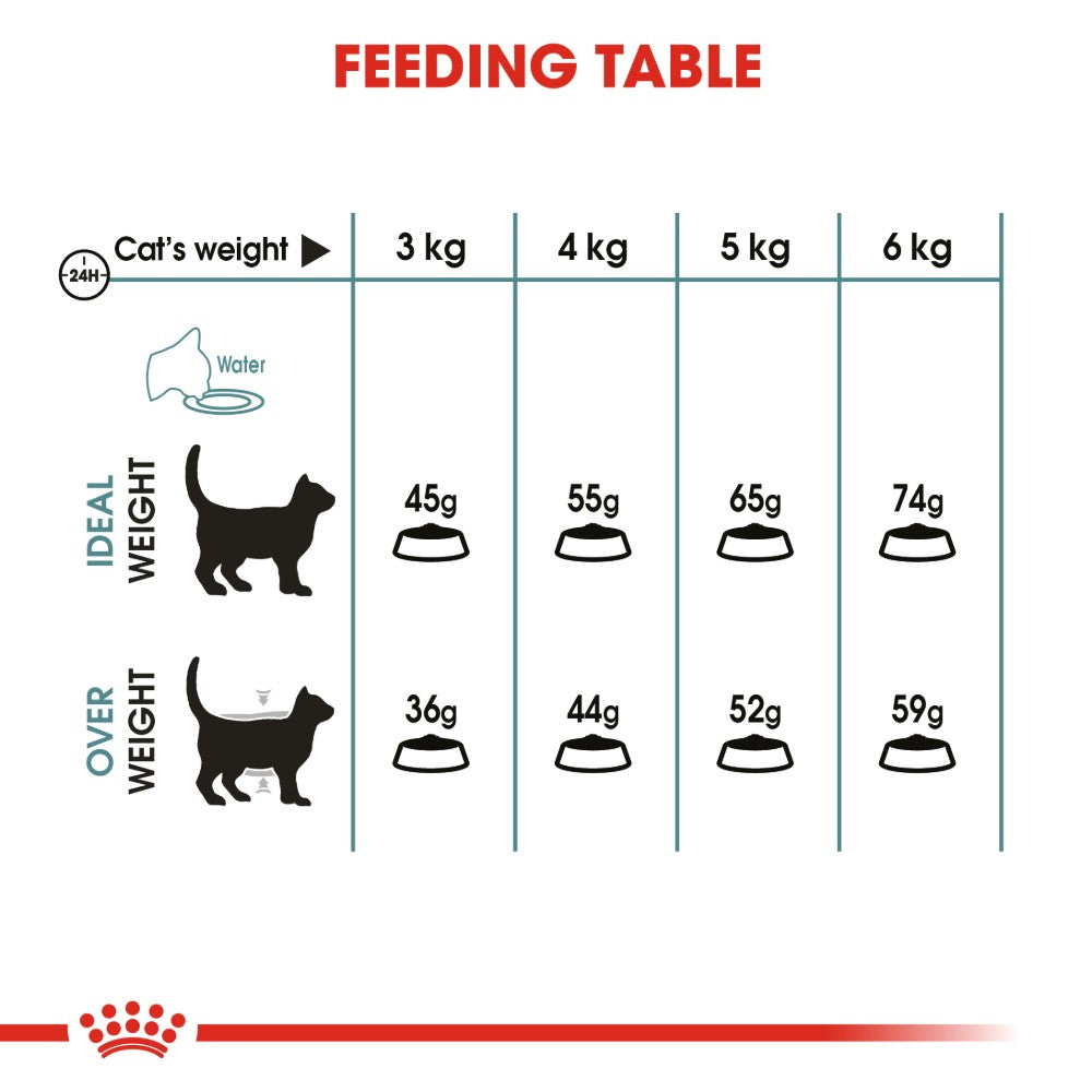 Royal Canin Adult Hairball Care