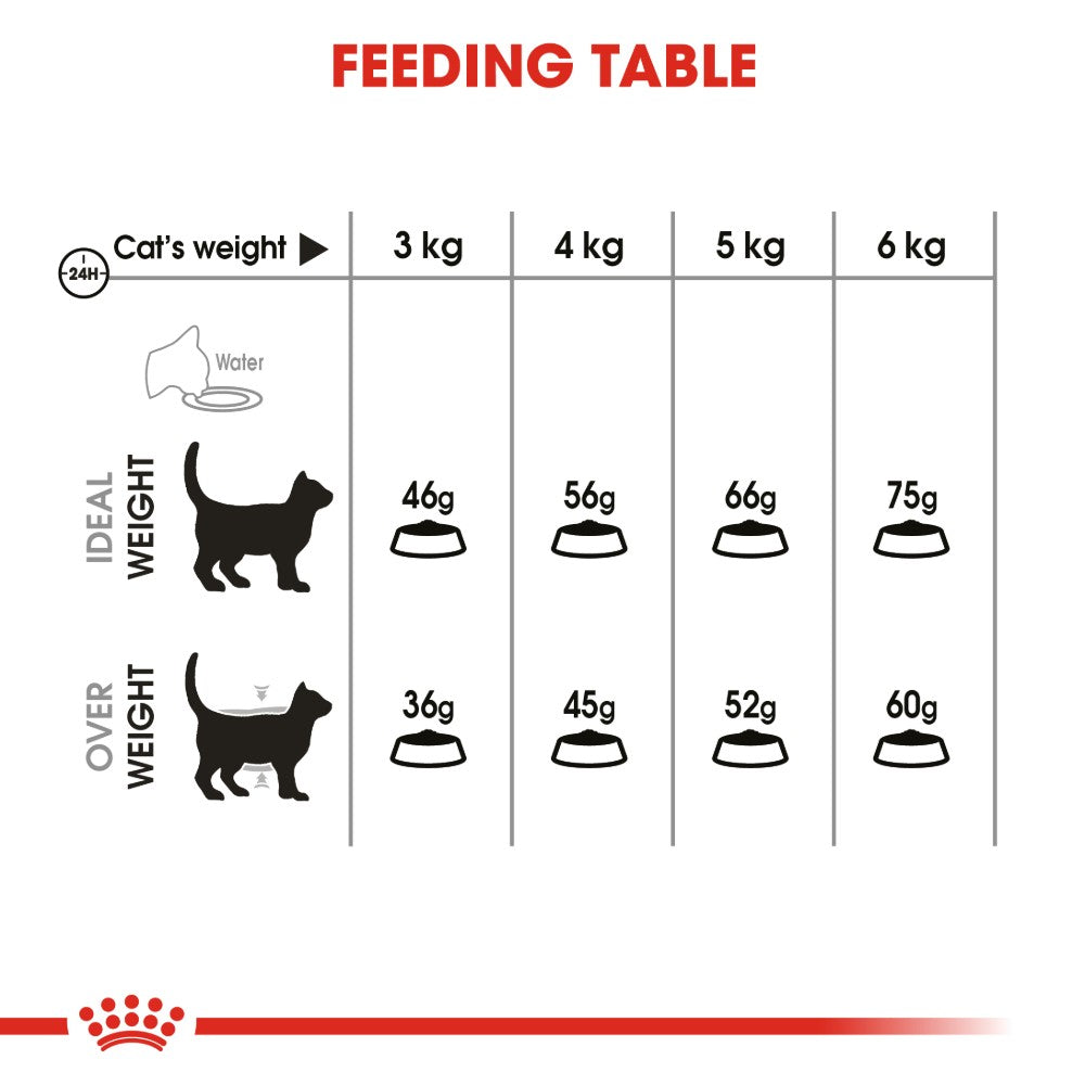 Royal Canin Adult Dental Care