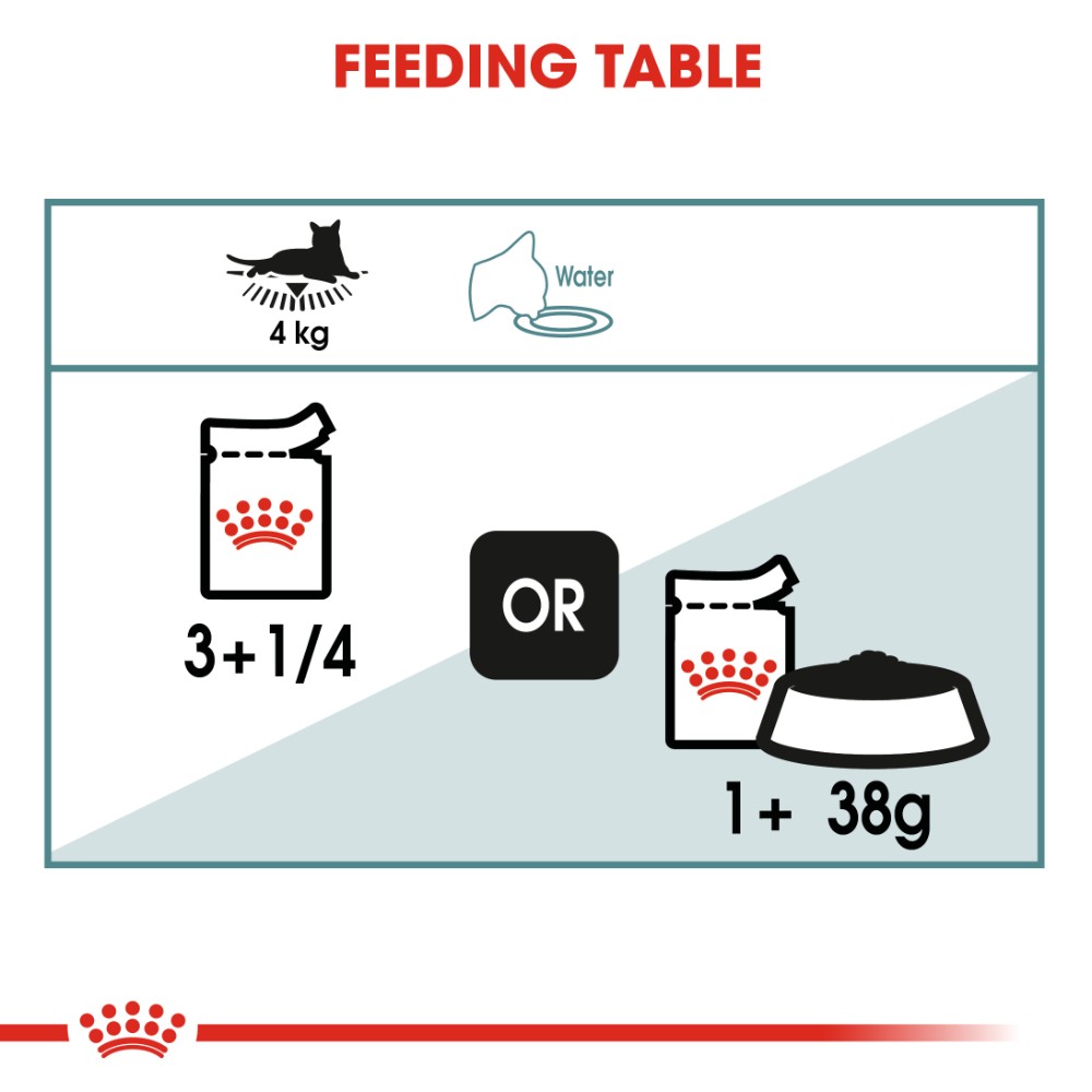 Royal Canin Adult Hairball Care in Gravy