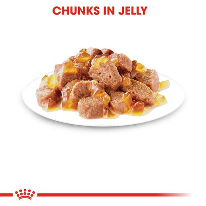 Royal Canin Adult Light Weight Care in Jelly