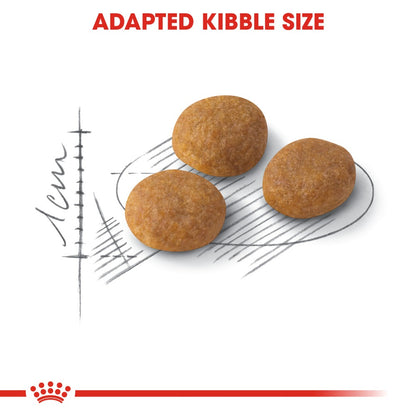 Royal Canin Adult Exigent Aroma